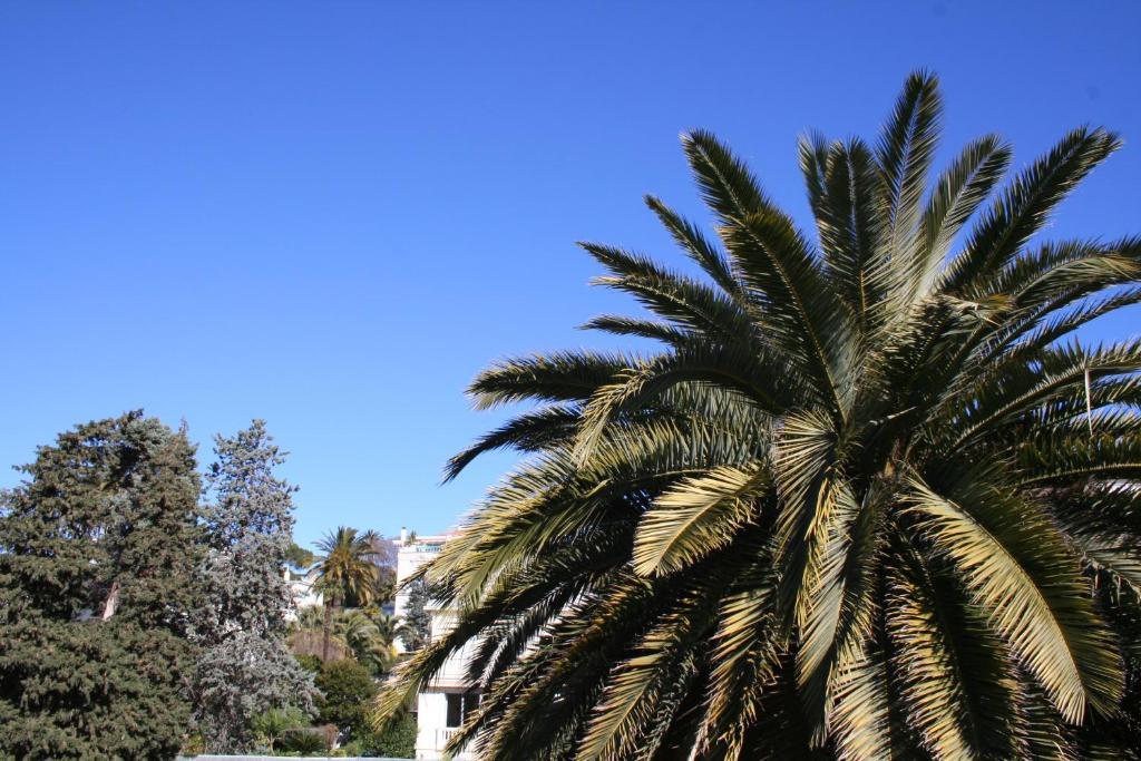 Résidence La Villa Léonie Nizza Camera foto